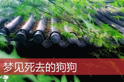 夢見死去的奶奶|周公解梦梦见死去的奶奶是什么意思